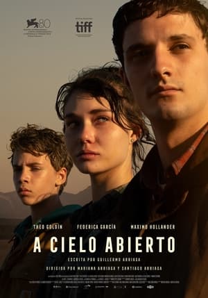 Poster A cielo abierto 2023