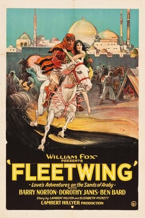 Poster Fleetwing (1928)