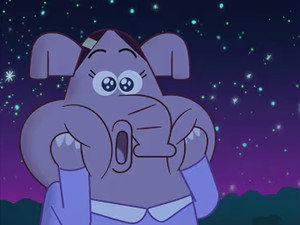 The Mooncat