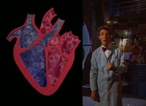 Bill Nye the Science Guy Heart