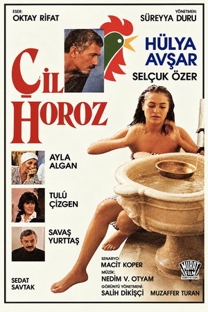 Çil Horoz 6