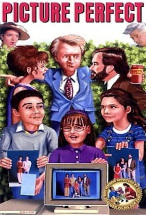 Poster Ideální rodina 1995