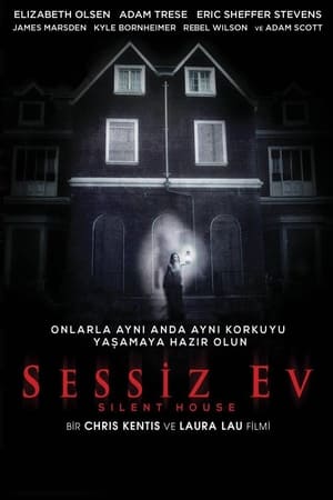 Sessiz Ev 2011