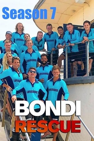 Bondi Rescue: Season 7