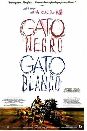 Poster Gato negro, gato blanco 1998