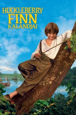 Image Huckleberry Finn kalandjai