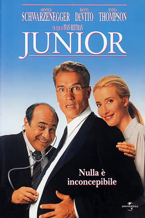 Poster Junior 1994