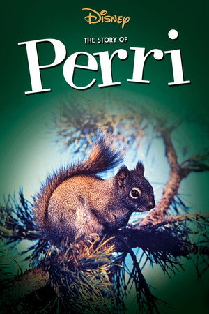 Perri 23
