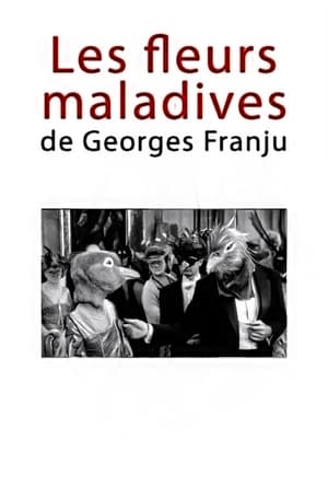 Poster Les fleurs maladives de Georges Franju (2009)