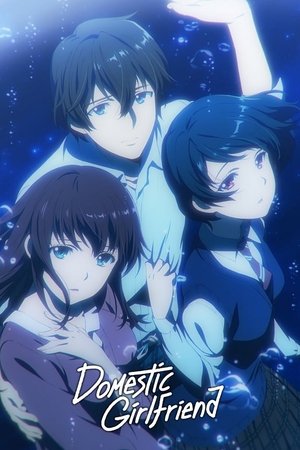 Poster Domestic Girlfriend - Love x Dilemma Saison 1 Est-ce qu'il y en a eu un ? 2019