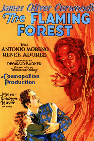 Poster The Flaming Forest (1926)