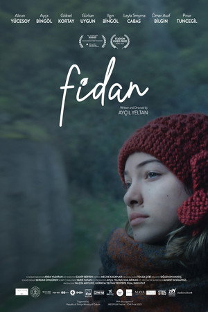 Fidan 4
