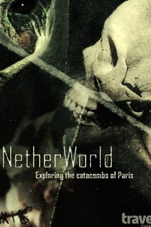 Poster NetherWorld: Exploring Paris Catacombs 2014