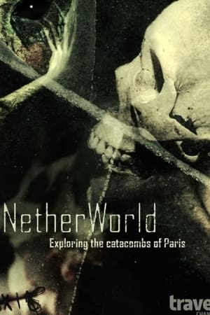 Image NetherWorld: Exploring Paris Catacombs