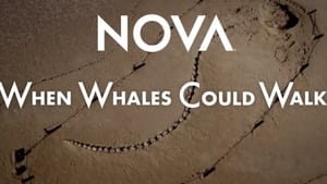 When Whales Could Walk