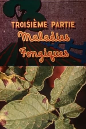 Poster Les ennemis de la pomme de terre: Maladies fongiques 1949