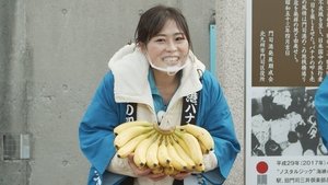 Journeys in Japan: 12×4