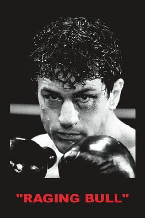 Image Raging Bull - Tyren fra Bronx