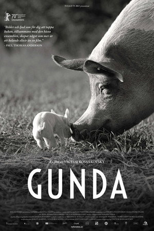 Gunda 11