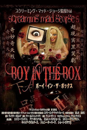 Boy in the Box