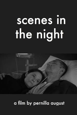 Poster Scenes in the Night 2018