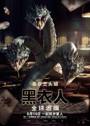 <Images posters