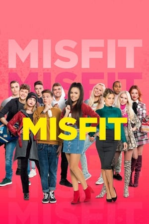 Image Misfit