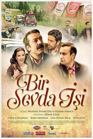 Poster Bir Sevda İşi 2015