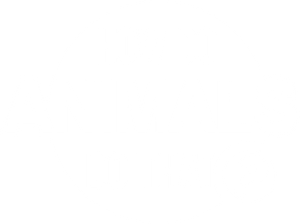 How Do Animals Do That?