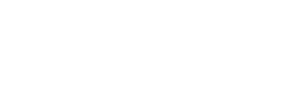 D.P Dog Day — Logos 12