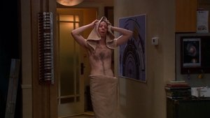 The Big Bang Theory 4×17