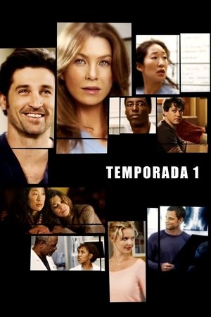 poster Grey's Anatomy