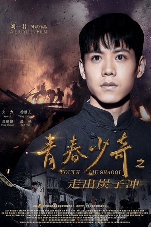 Poster Youth Liu Shaoqi (2022)