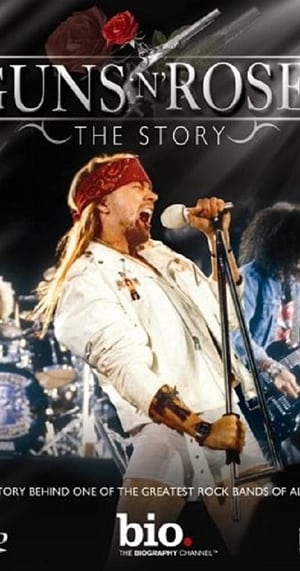 Poster Guns N' Roses: The Story (2007)