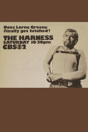 Poster The Harness (1971)