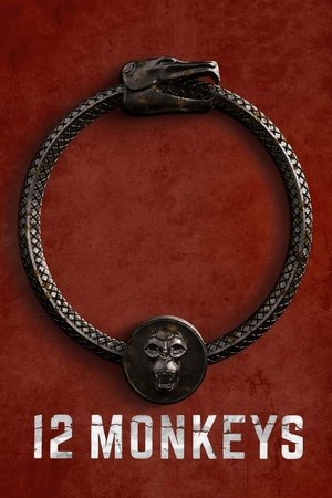 12 Monkeys movie poster