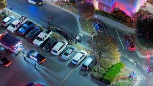 Police 24/7: 1×5