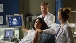 Grey’s Anatomy 7 x Episodio 13