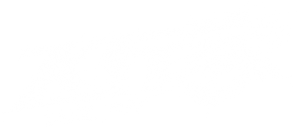 飞行家 — Logos 3