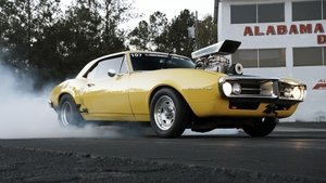 Faster with Finnegan Lost Suspension: Trouble With the Firebird!