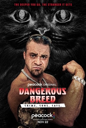 Poster Dangerous Breed: Crime. Cons. Cats. 2022