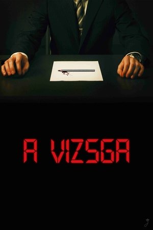 A vizsga (2009)