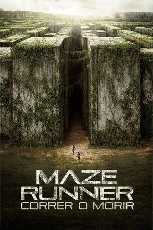 poster The Maze Runner