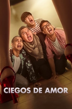 Poster Ciegos de amor 2020