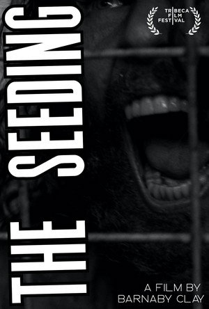 The Seeding