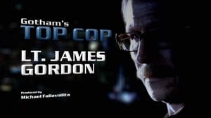 Gotham Tonight Top Cop
