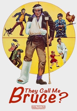 They Call Me Bruce? poster