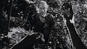 Rashomon