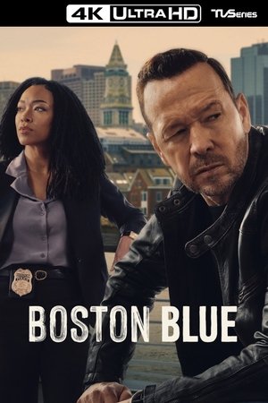 Boston Blue (2025)
