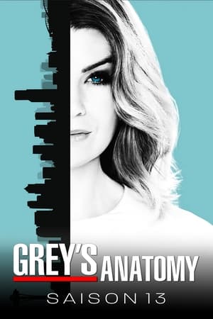 Grey's Anatomy: Saison 13